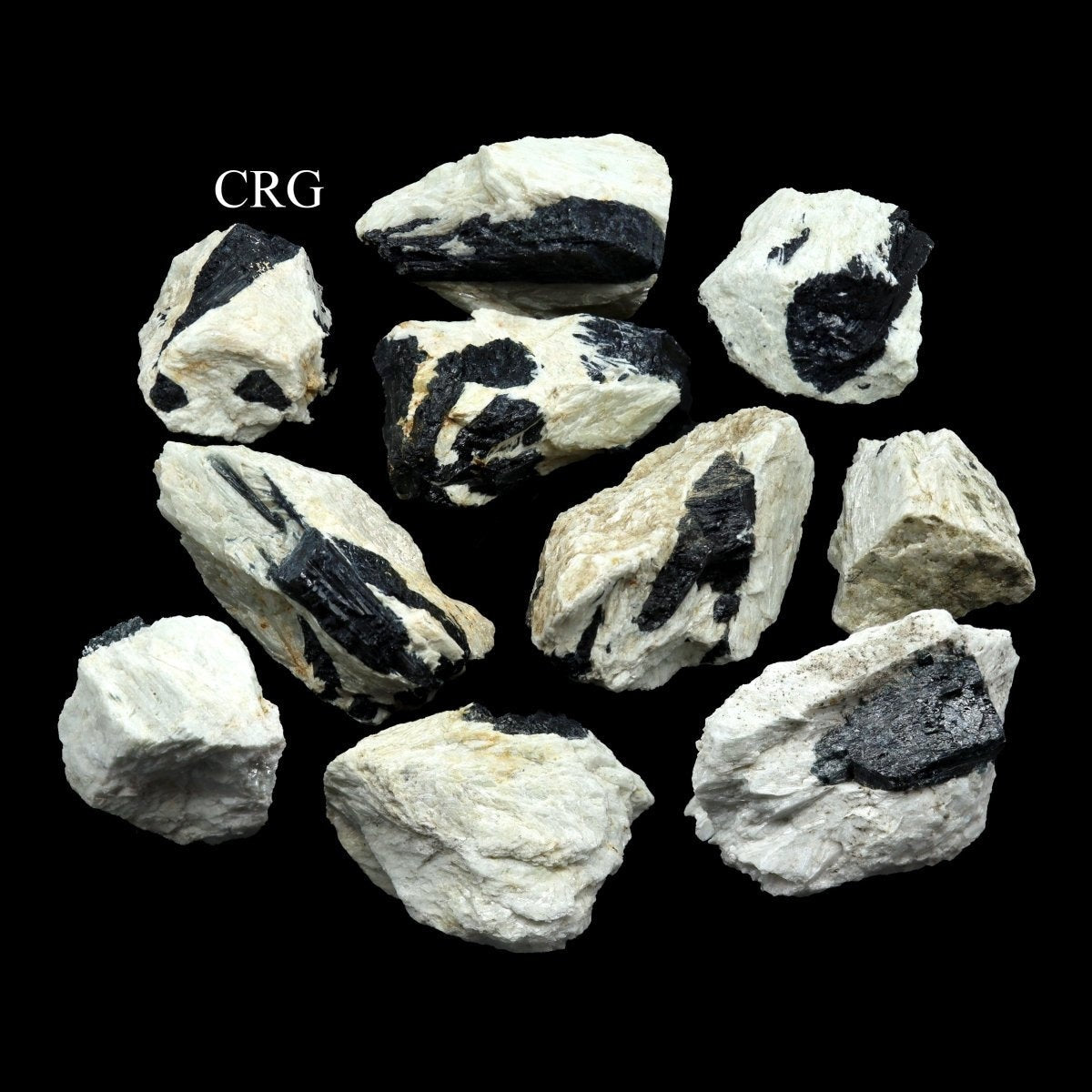 Tourmaline noire dans matrice blanche (tailles assorties)