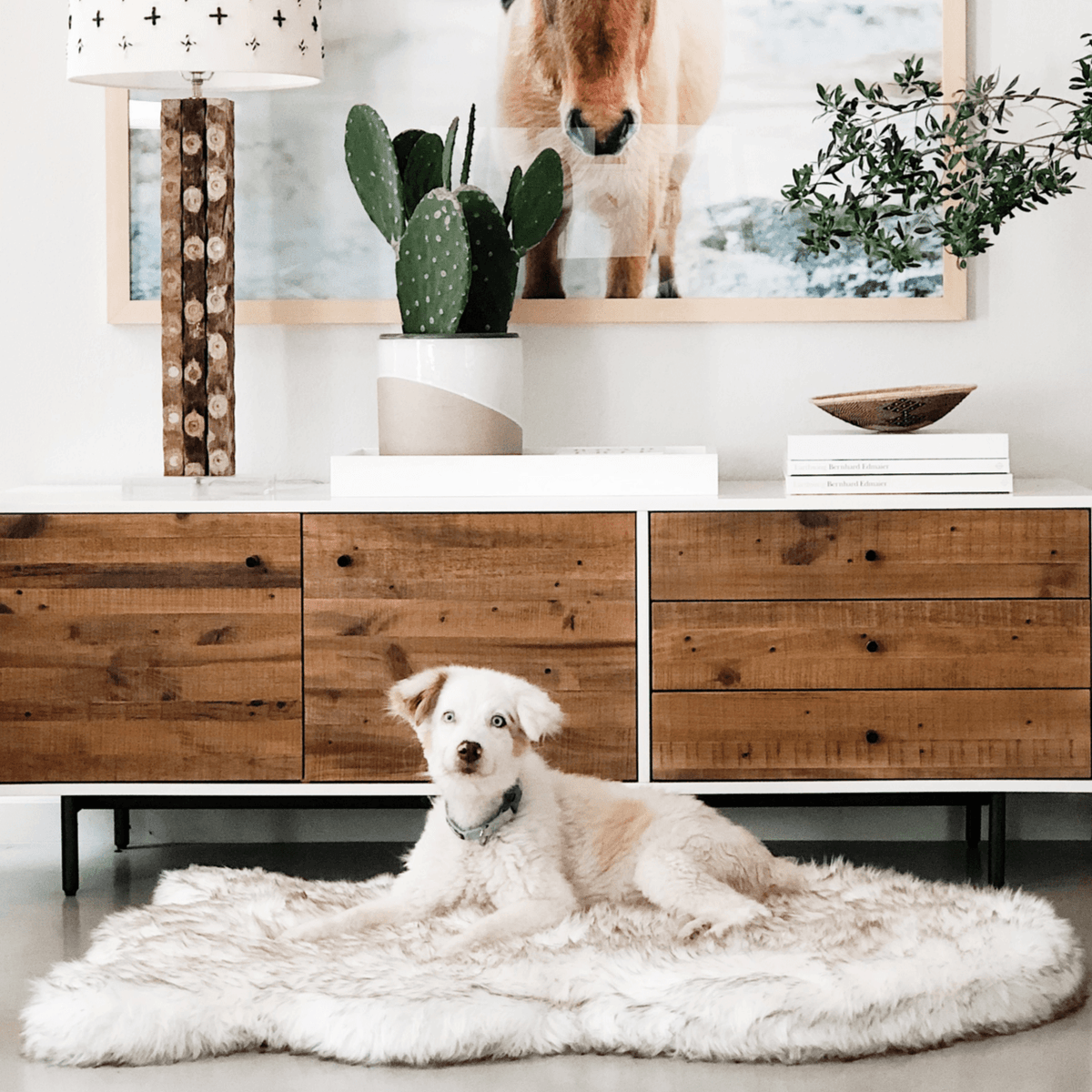 Cuccia ortopedica per cani in pelliccia sintetica PupRug di Paw.com® - Modello Curve bianco con dettagli marroni