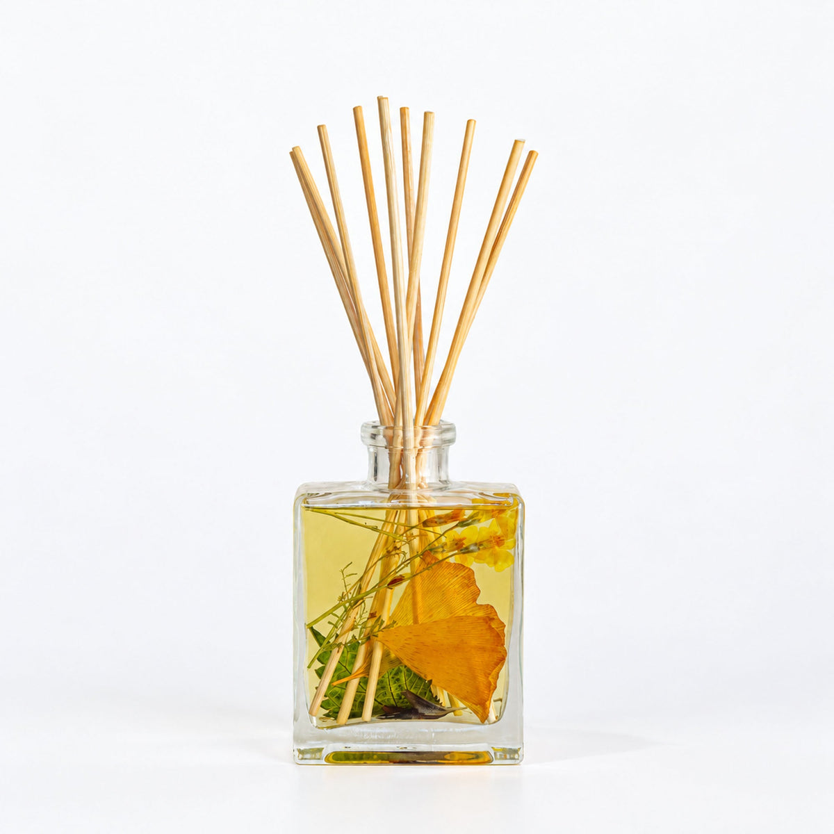 Accent Botanical Reed Diffuser - Harvest Pumpkin