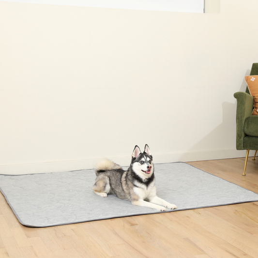 Couverture rafraîchissante et imperméable PupChill™ - Gris Arctique