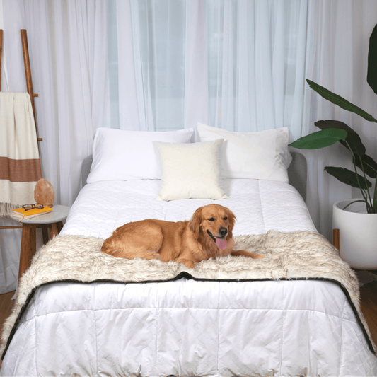 Runner da letto impermeabile PupProtector™ - Bianco con dettagli marroni