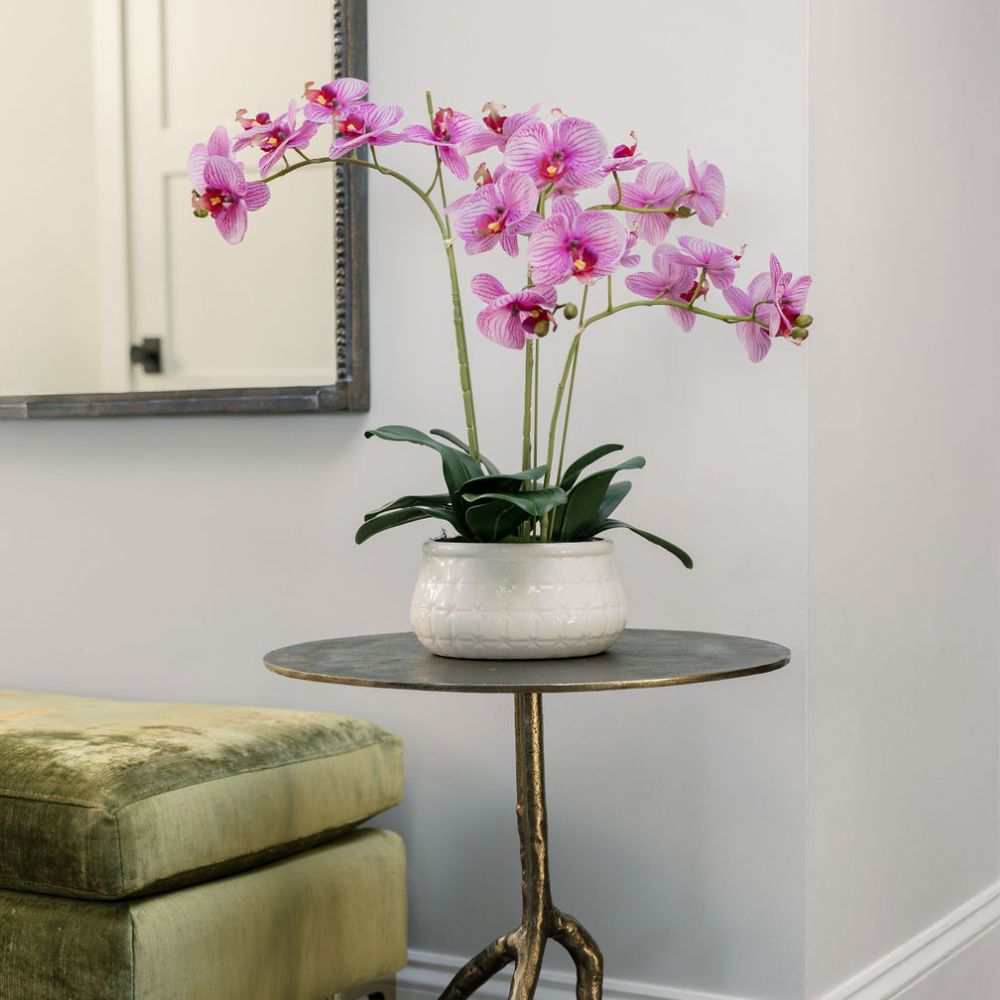 Orchidée Phalaenopsis de 23"