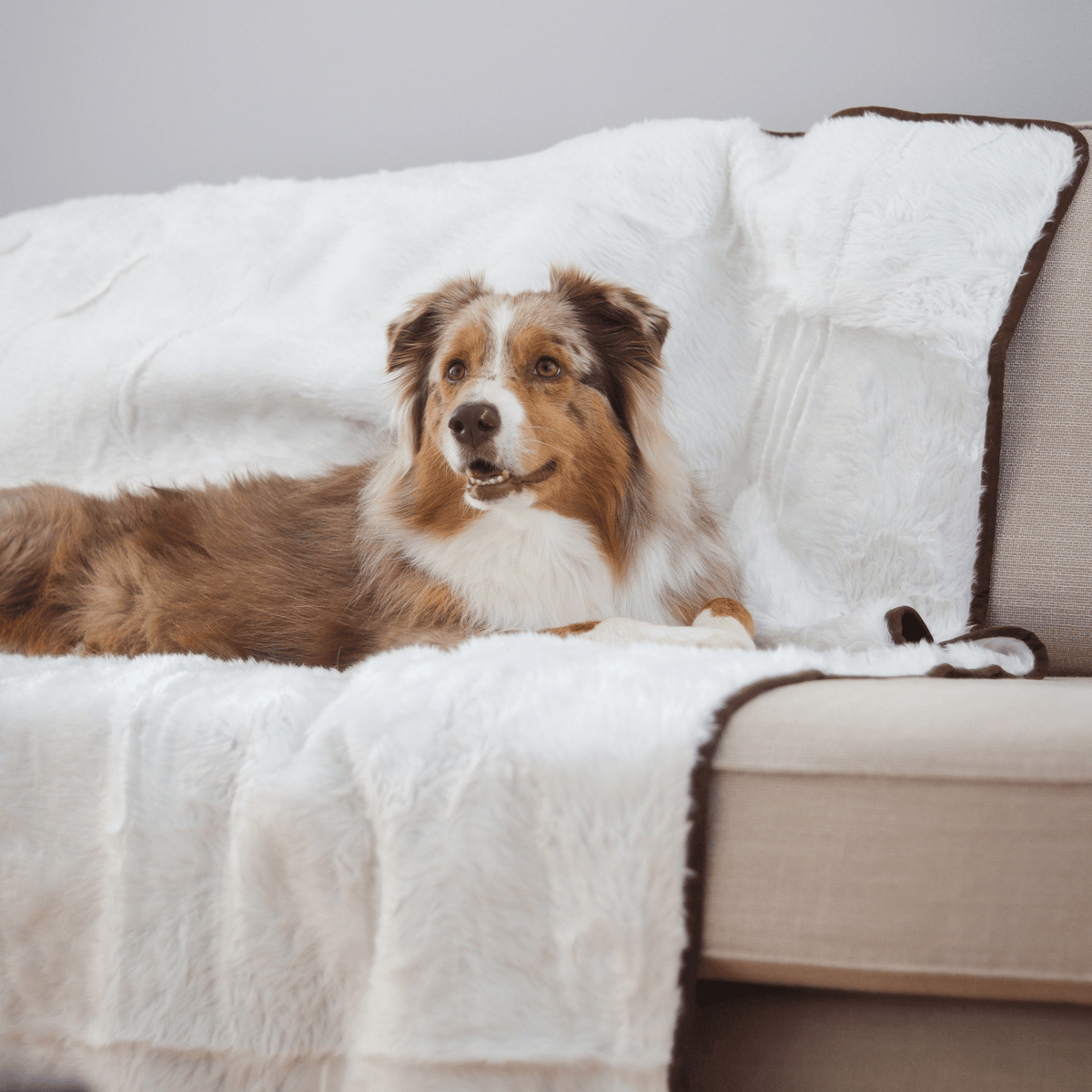 PupProtector™ Summer Short Fur Waterproof Throw Blanket - Polar White