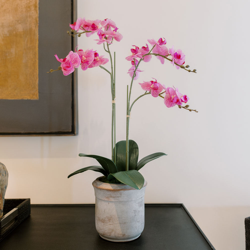 Orchidea Phalaenopsis artificiale rosa a 2 steli