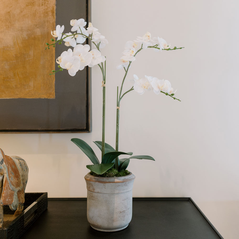Orchidea Phalaenopsis artificiale bianca a 2 steli