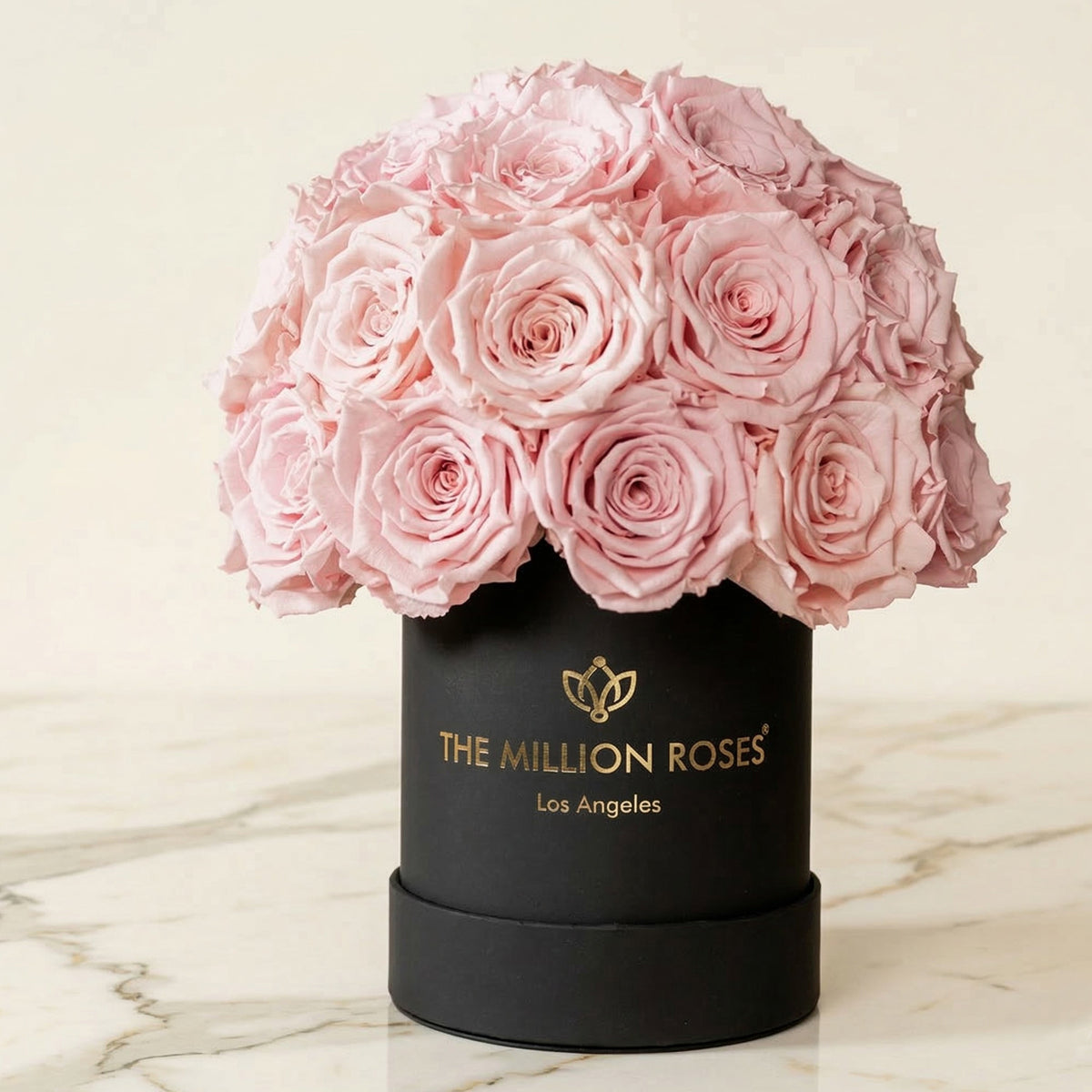 Essence Black Superdome Box | Rose Rosa Chiaro