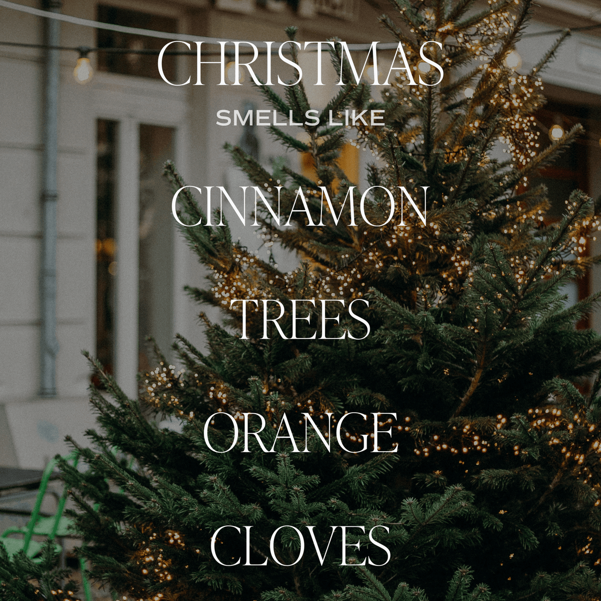 Coffret cadeau de bougies de Noël (Noël, Chaleureux et douillet, Sapin Fraser)