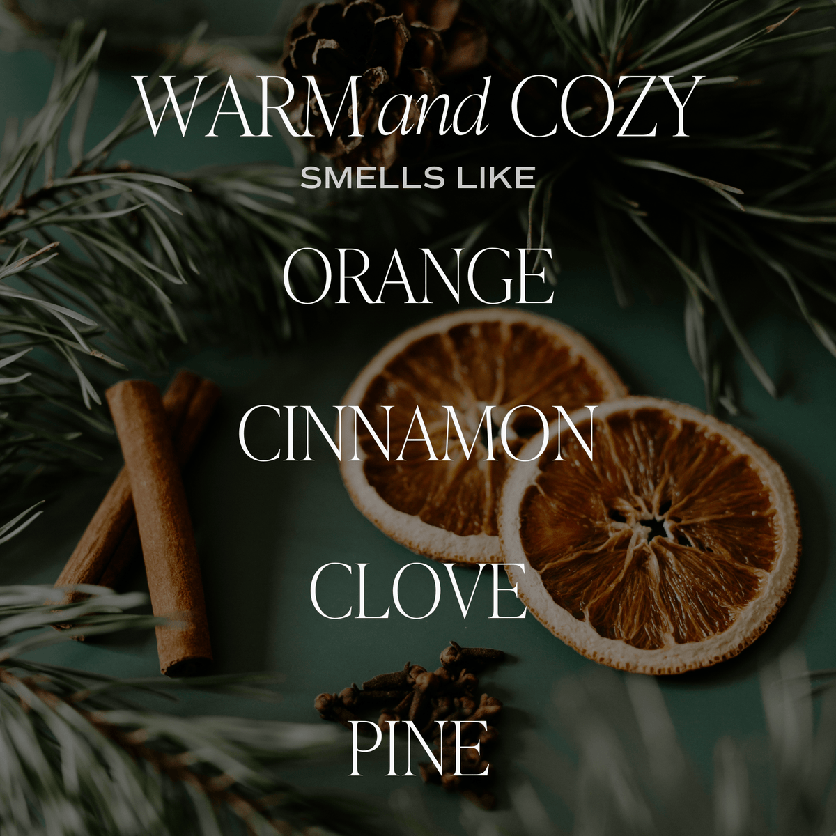 Deodorante per ambienti da appendere Warm and Cozy
