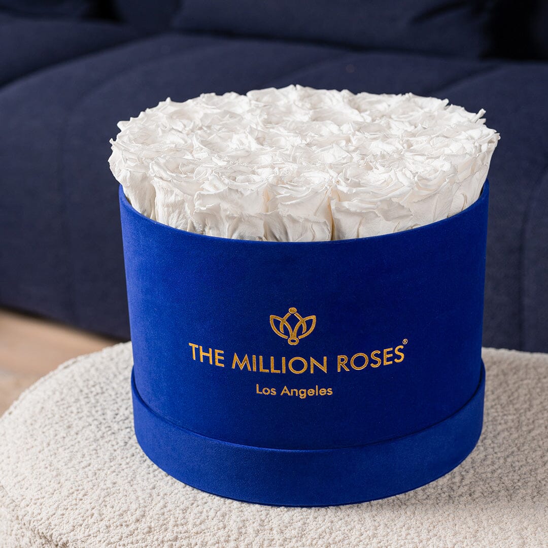 Supreme Royal Blue Suede Box | White Roses