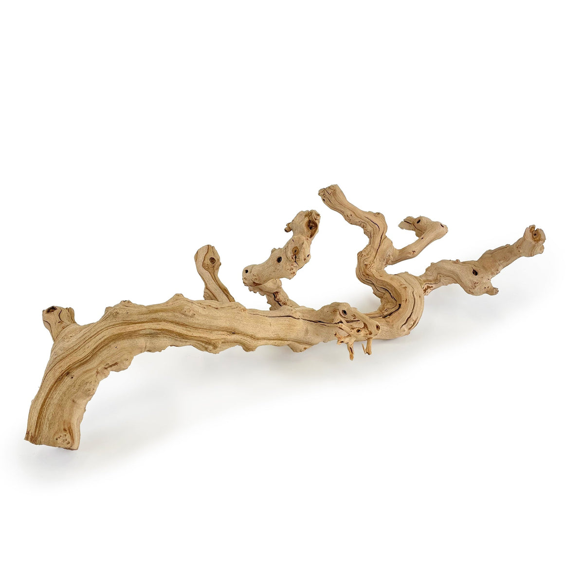 Legno di vite sabbiato