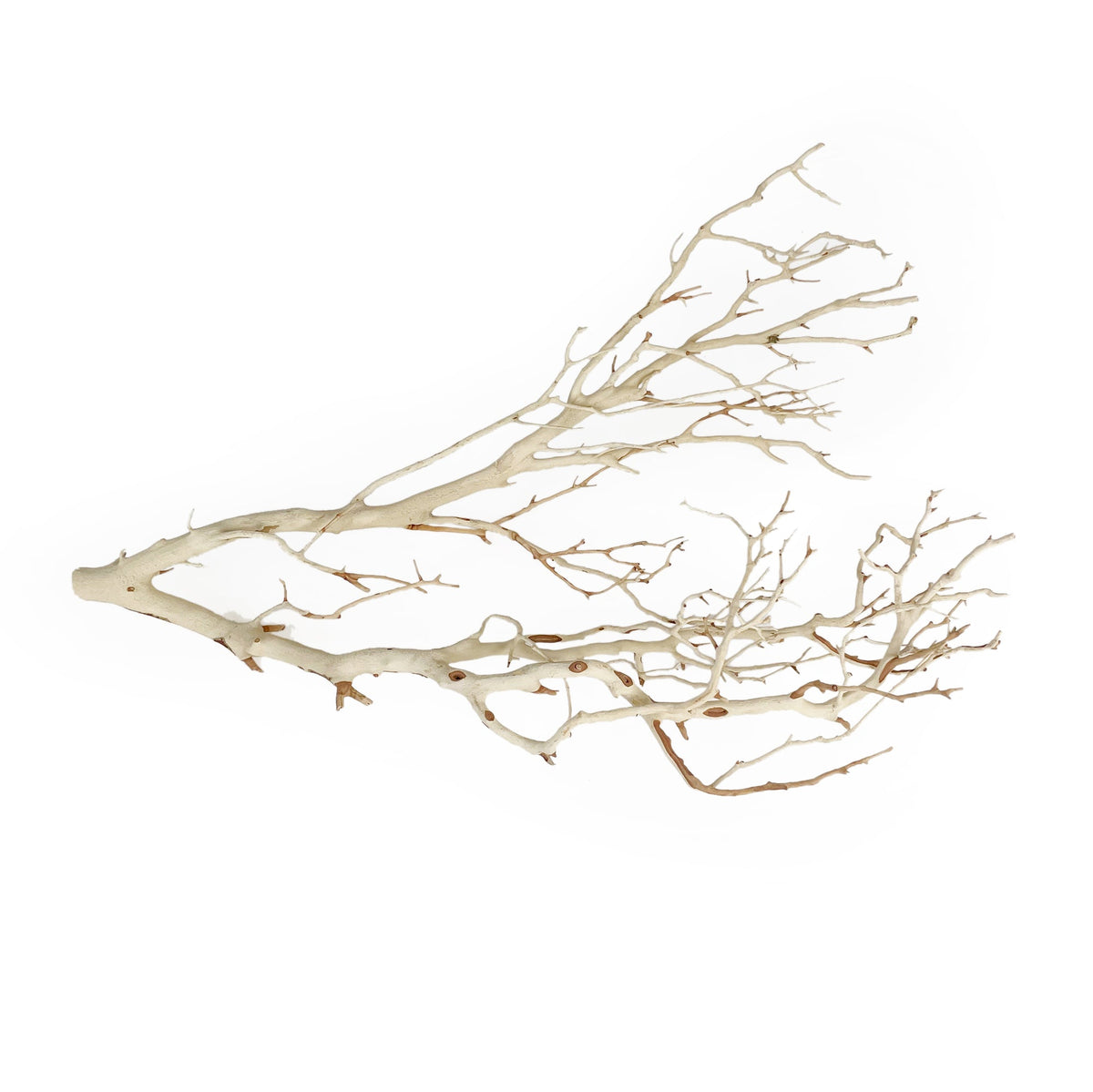 Manzanita Sandblasted Branches 22-26"