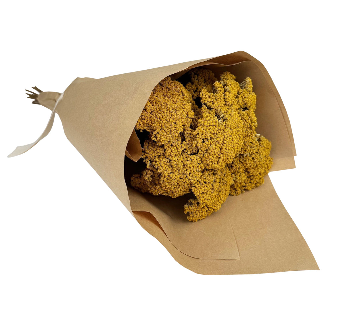 Mazzo di achillea