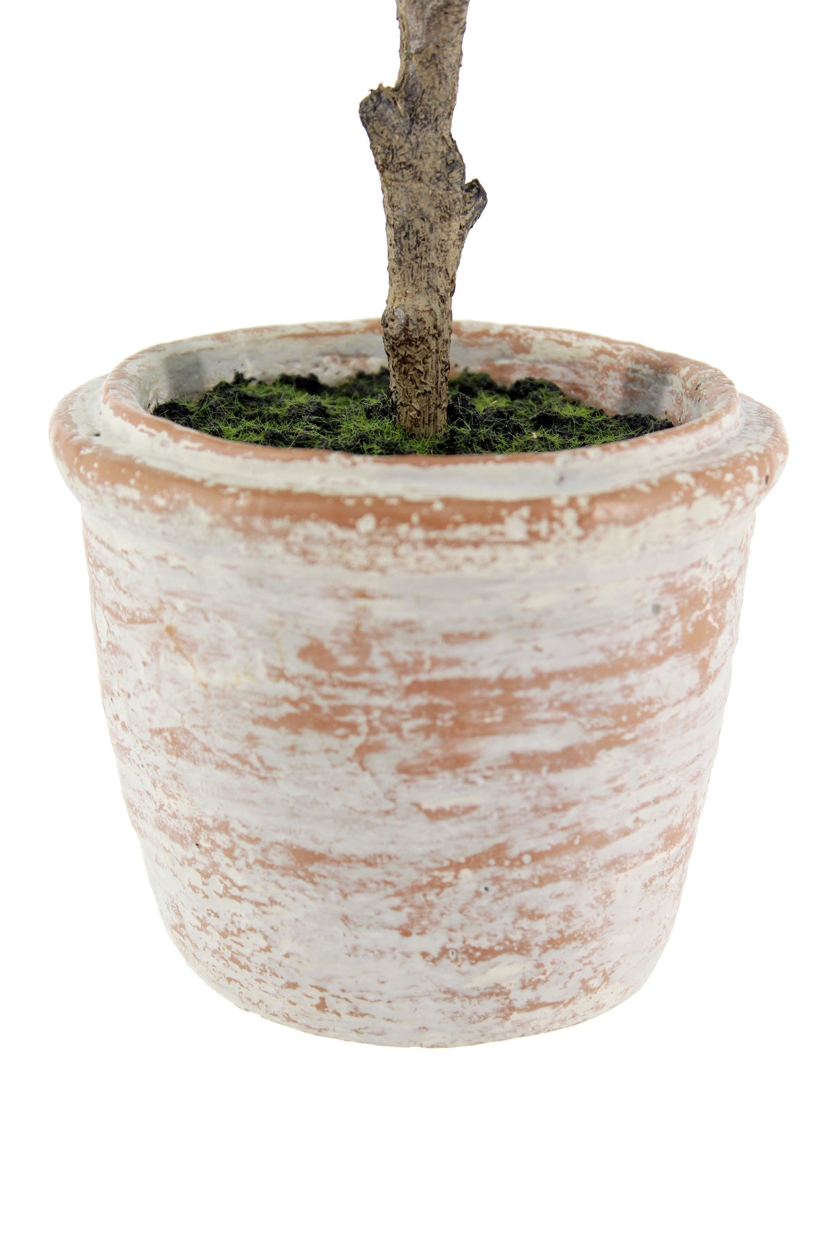Ensemble de topiaires Eucalyptus de 10 po et Agrumes de 16 po