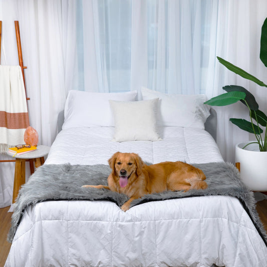Copriletto impermeabile PupProtector™ - Grigio antracite