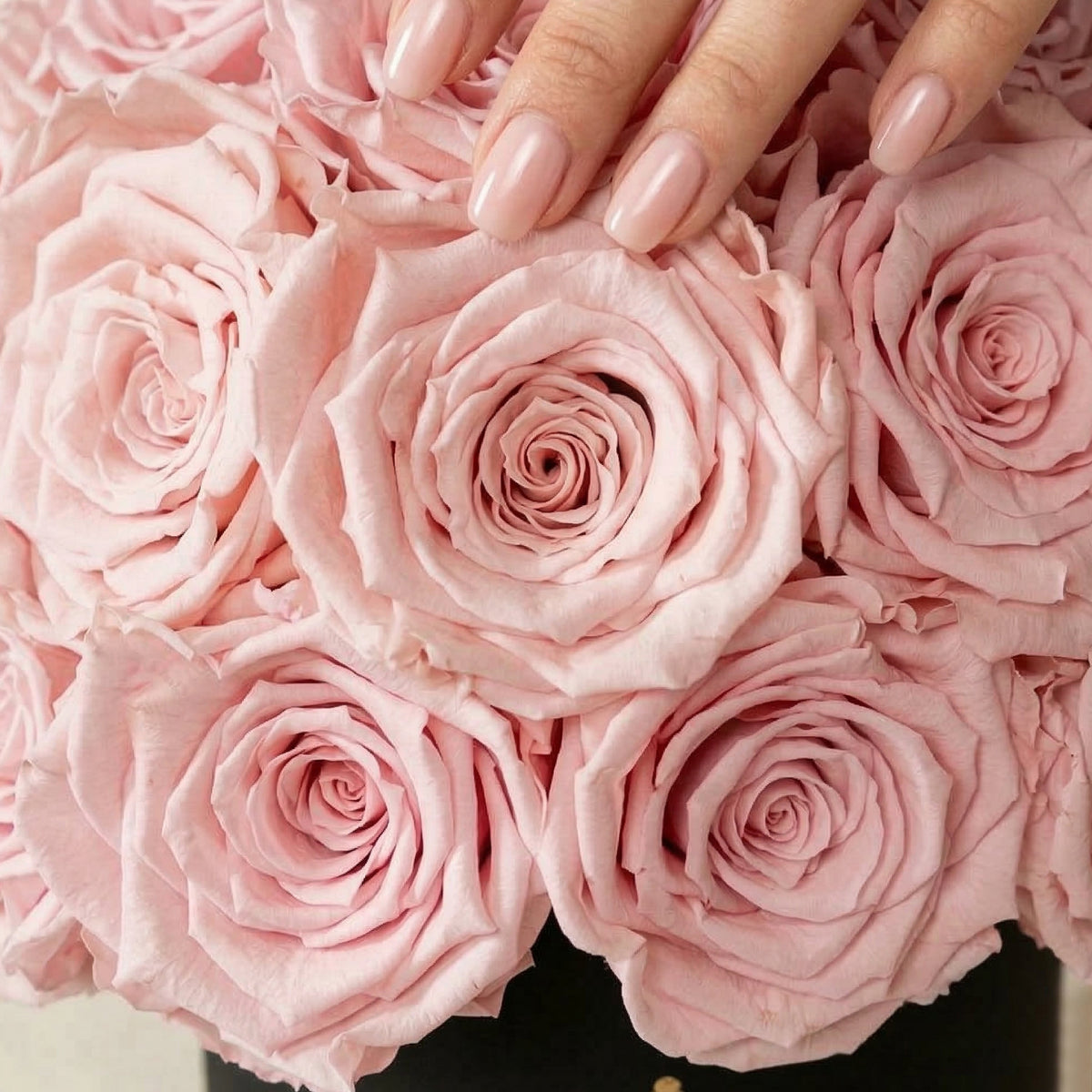 Essence Black Superdome Box | Rose Rosa Chiaro