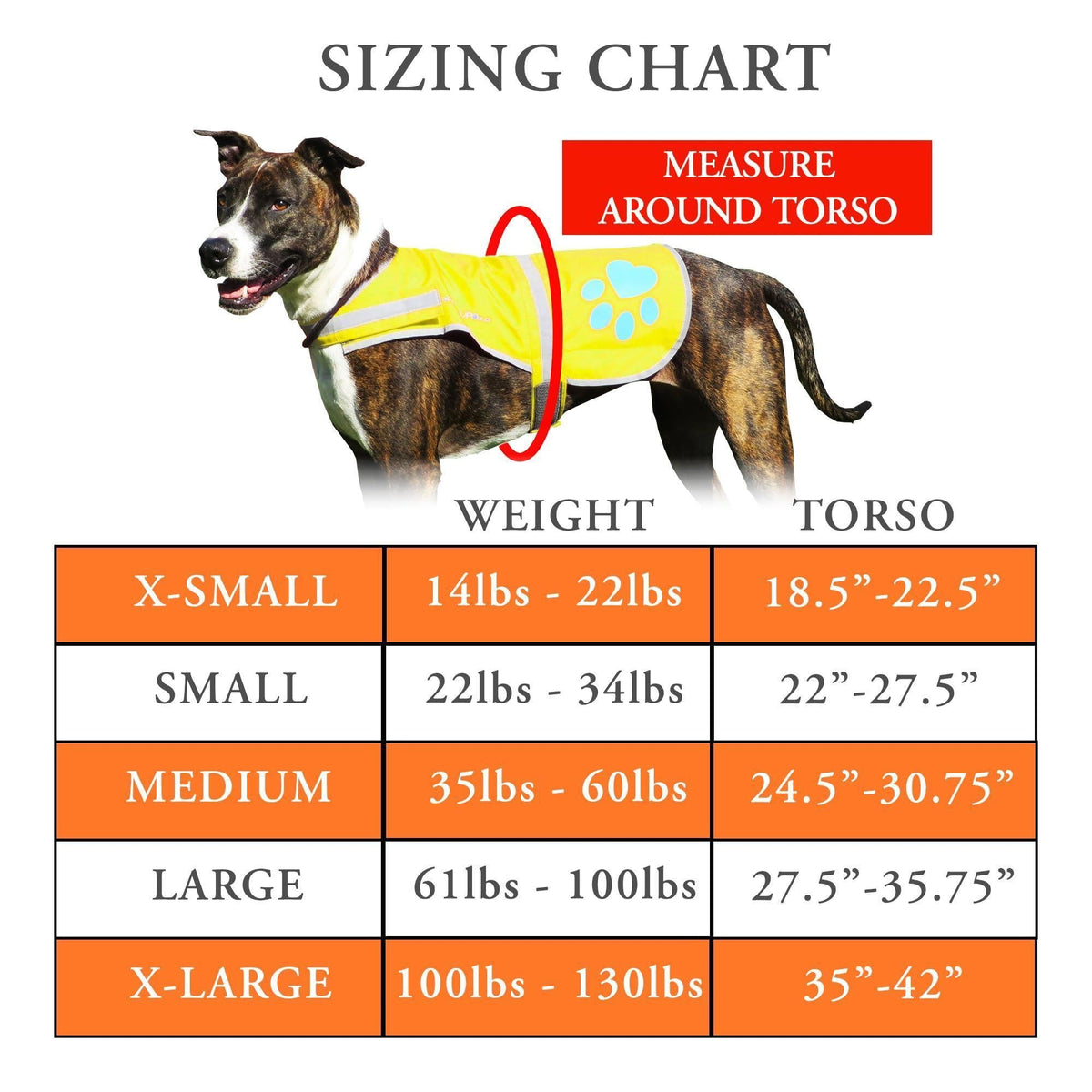 Gilet riflettente per cani ad alta visibilità, taglia M, giallo