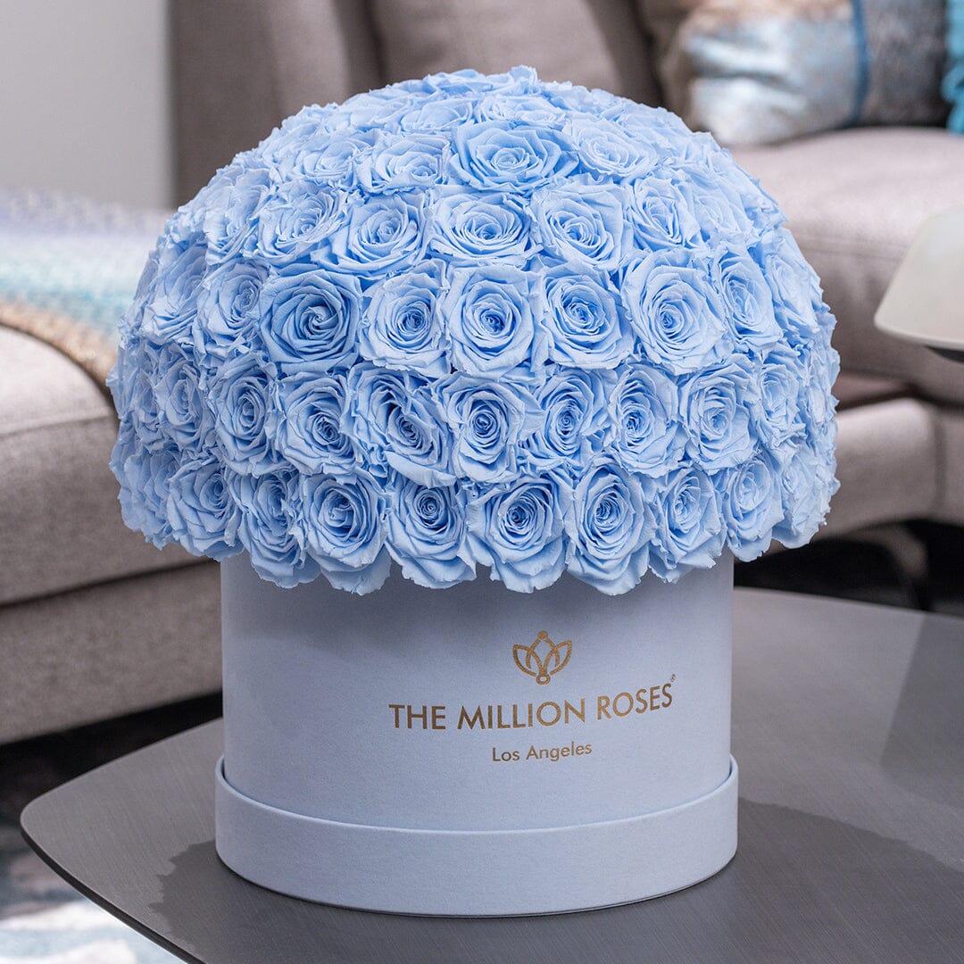 Scatola Superdome in camoscio azzurro Supreme | Rose azzurre