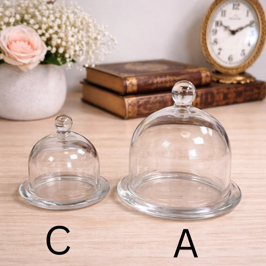 Cloche de présentation en verre avec socle