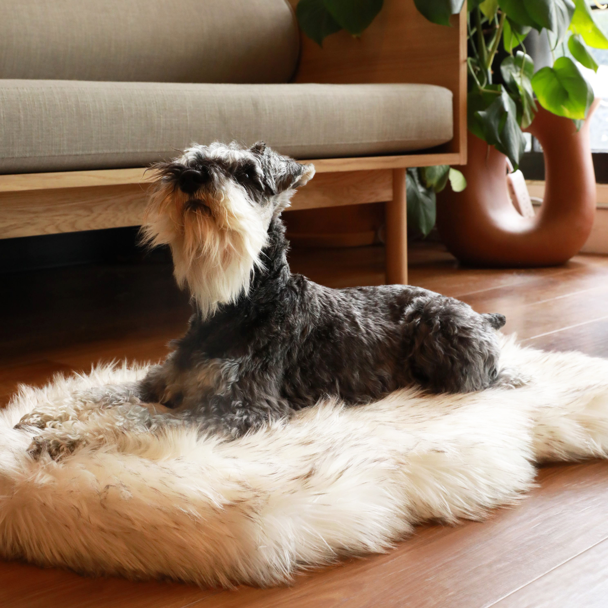Cuccia ortopedica per cani in pelliccia sintetica PupRug di Paw.com® - Modello Curve bianco con dettagli marroni