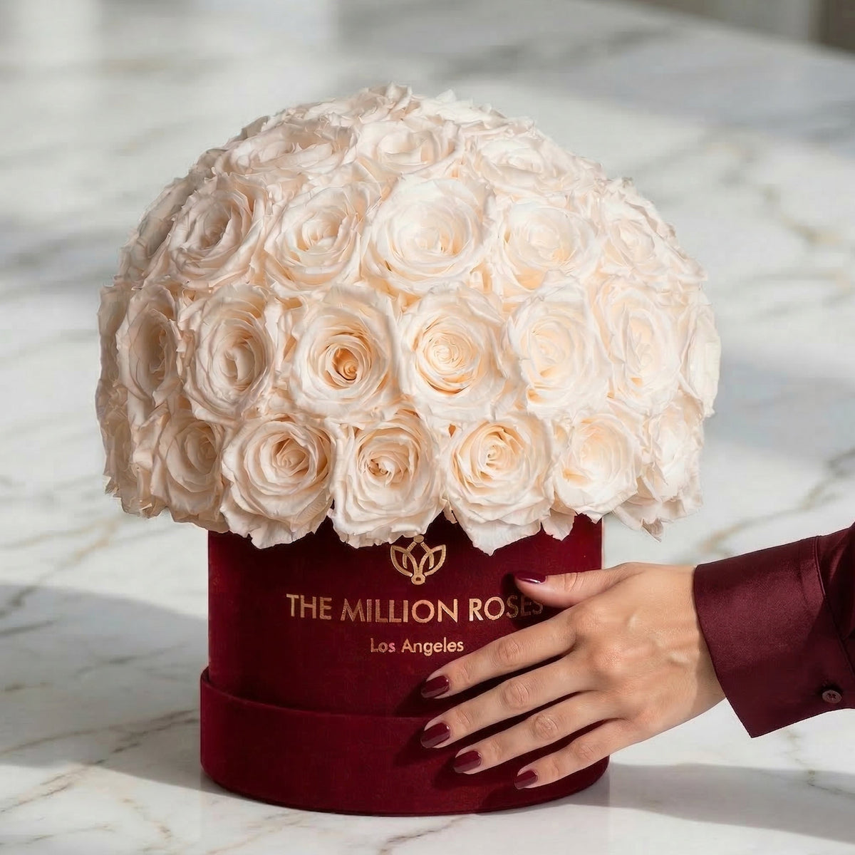 Boîte Superdome en suédine Bordeaux classique | Roses blanches