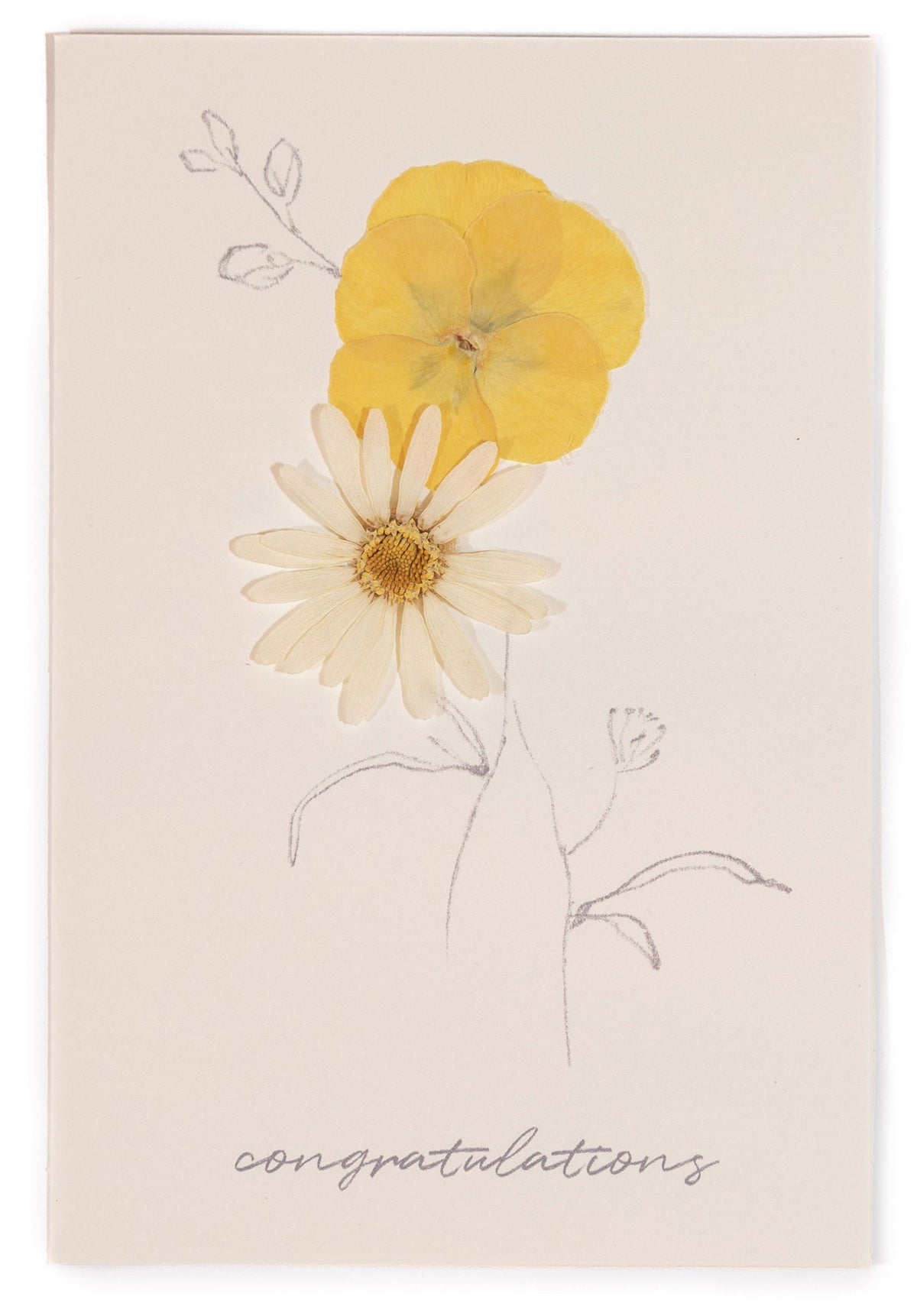 Félicitations - Papeterie à fleurs pressées marguerite blanche