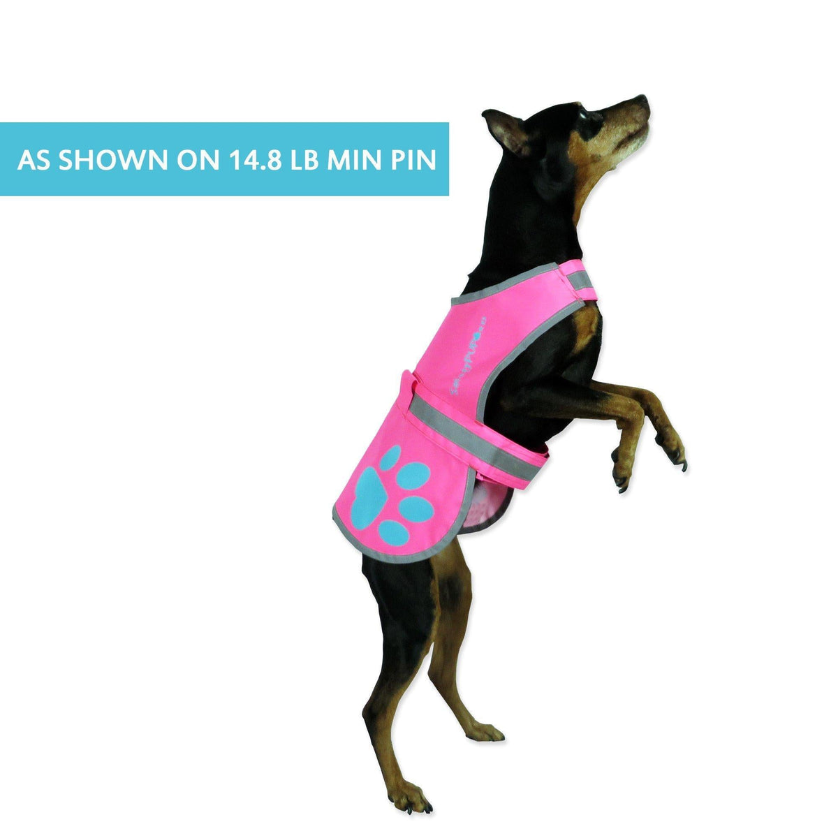 Gilet catarifrangente per cani ad alta visibilità, taglia XS, torace 57 cm x collo 38 cm, rosa