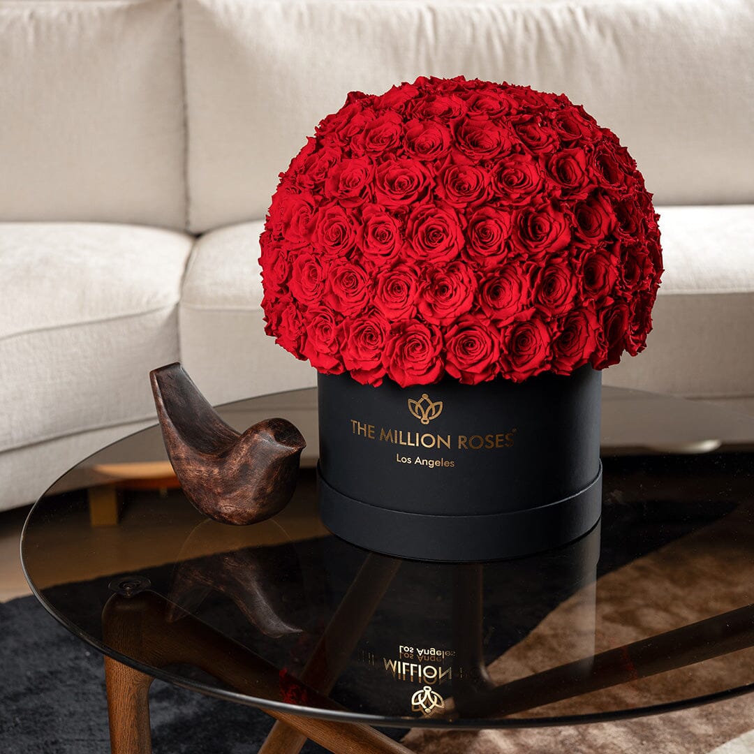 Supreme Black Superdome Box | Rose Rosse