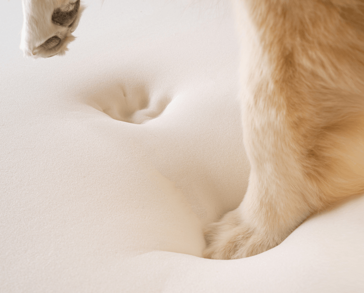 Cuccia ortopedica per cani in pelliccia sintetica PupRug di Paw.com® - Modello Curve bianco con dettagli marroni