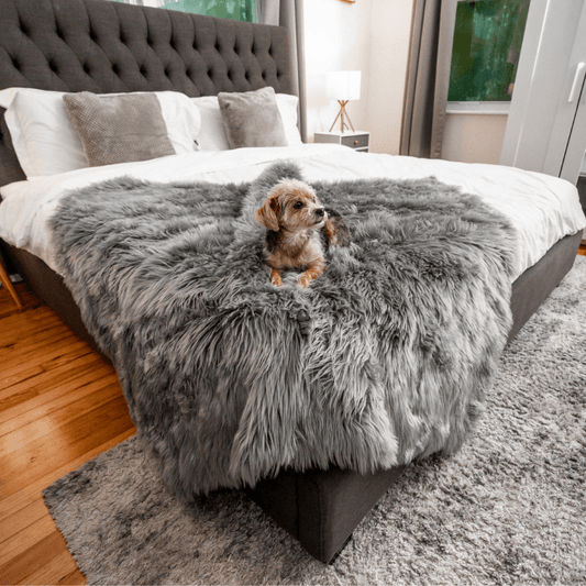 Coperta impermeabile PupProtector™ - Grigio antracite