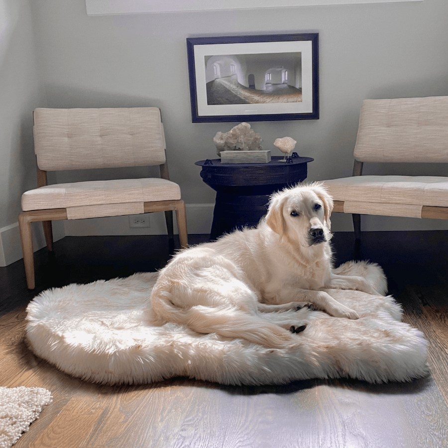 Cuccia ortopedica per cani in pelliccia sintetica PupRug di Paw.com® - Modello Curve bianco con dettagli marroni