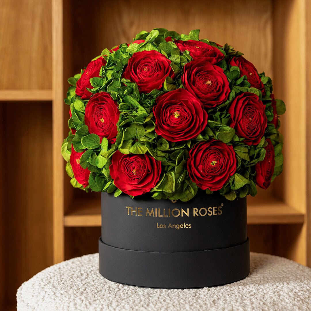 Boîte noire classique | Renoncules persanes rouges et hortensias verts