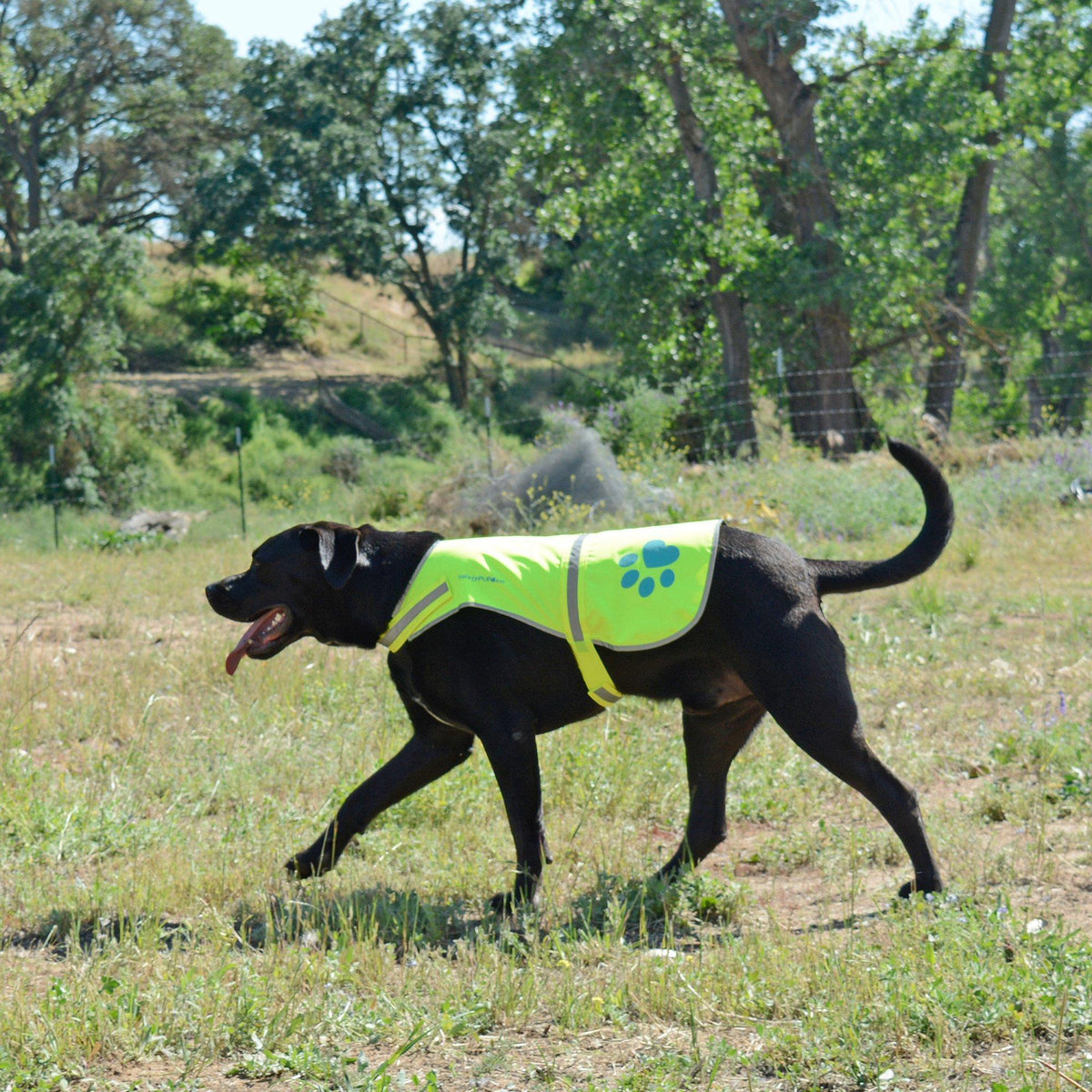 Gilet de sécurité réfléchissant pour chien haute visibilité, taille XL, jaune néon