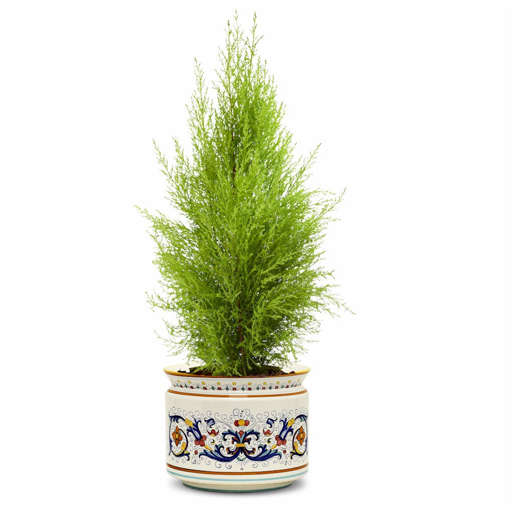 RICCO DERUTA DELUXE: Cylindrical Cover Pot Ricco Deruta Design - Cachepot Planter (Large)
