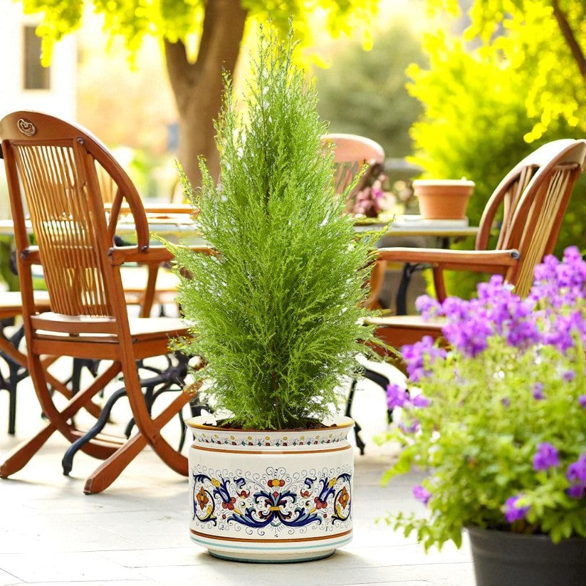 RICCO DERUTA DELUXE: Cylindrical Cover Pot Ricco Deruta Design - Cachepot Planter (Large)