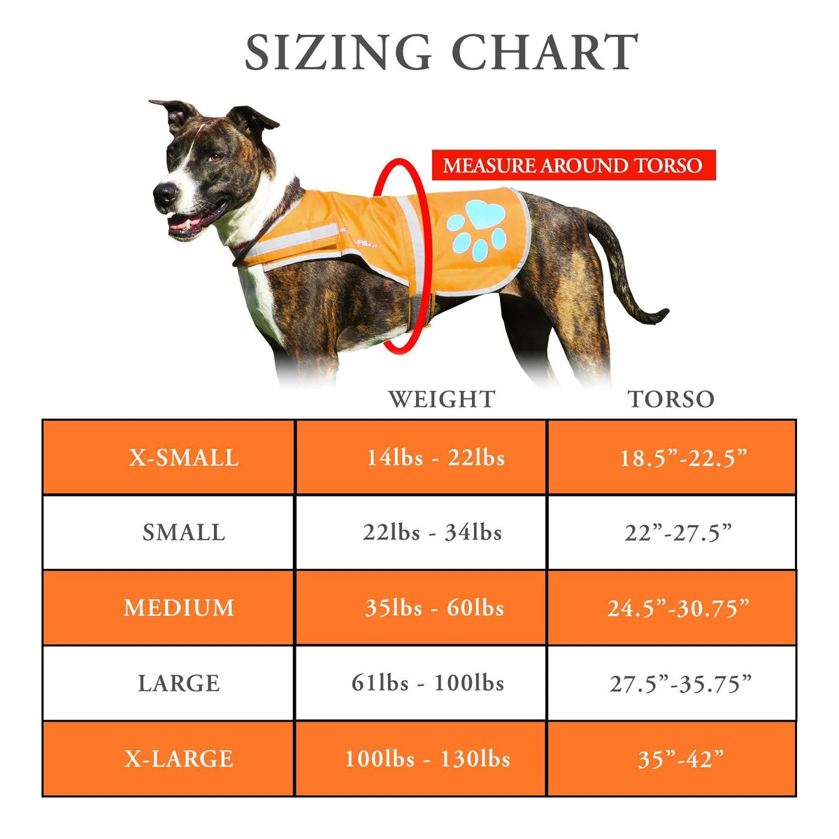 Gilet catarifrangente per cani ad alta visibilità, taglia M, torace 78,1 cm x collo 59,7 cm, arancione