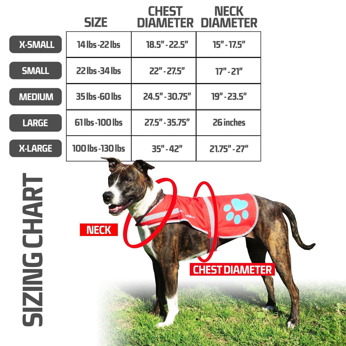 Gilet catarifrangente per cani ad alta visibilità, taglia XS, torace 57 cm x collo 38 cm, rosa