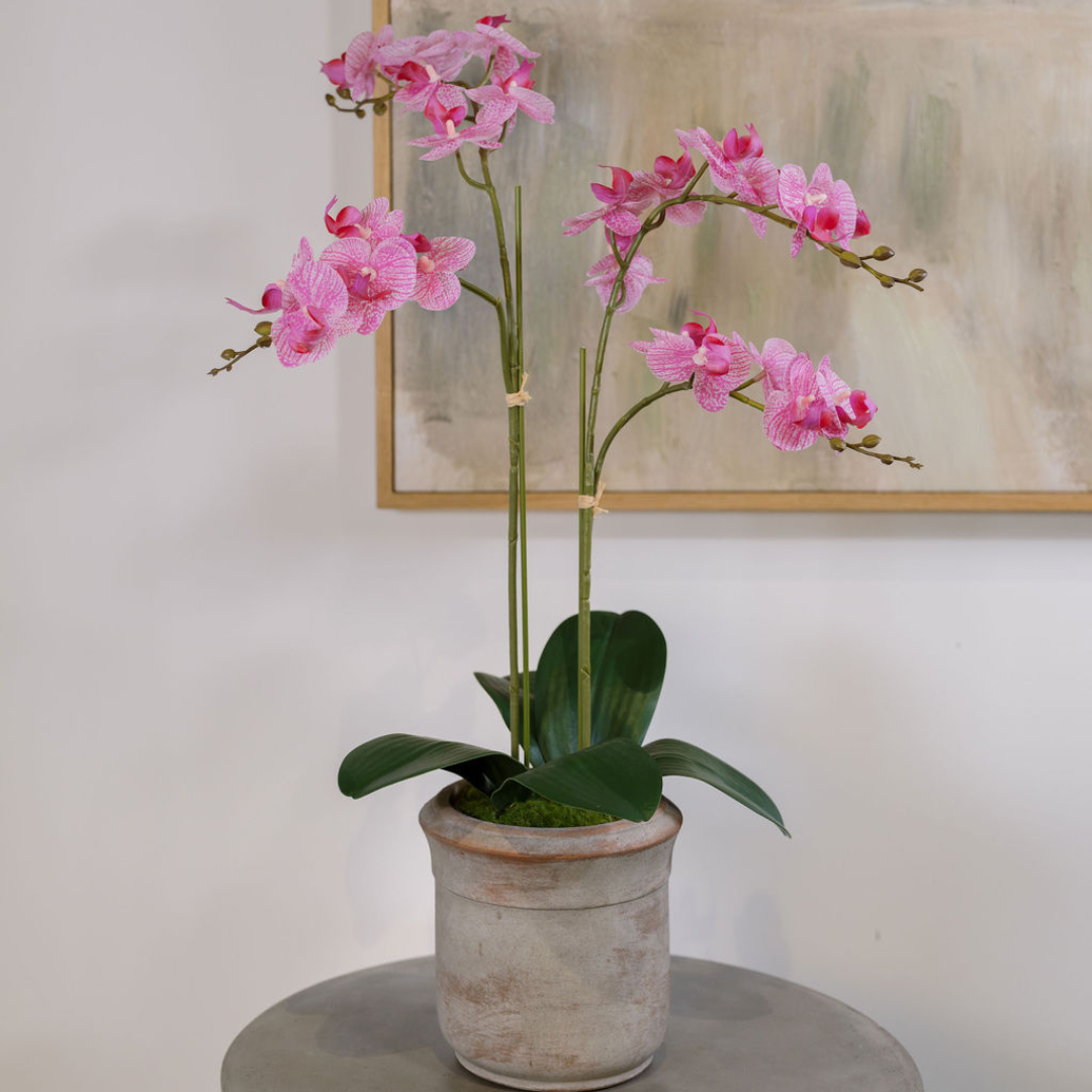 Orchidea Phalaenopsis artificiale rosa a 2 steli