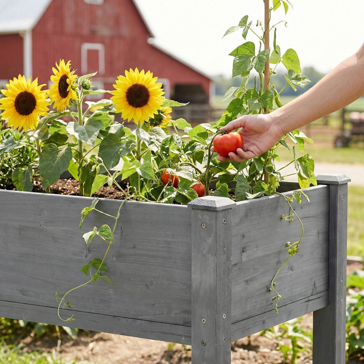 Carré potager surélevé pour extérieur