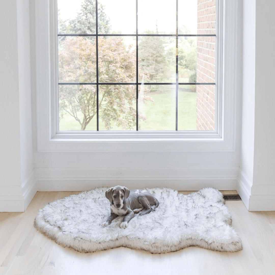 Cuccia ortopedica per cani in pelliccia sintetica PupRug di Paw.com® - Modello Curve bianco con dettagli marroni