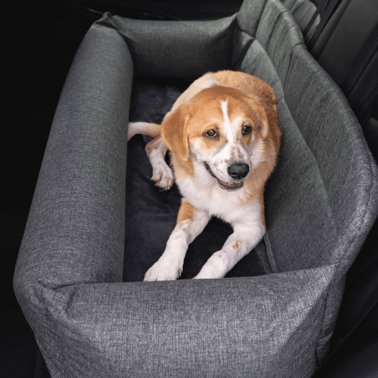 Lit pour chien à mémoire de forme Performance Tweed PupProtector™ pour voiture