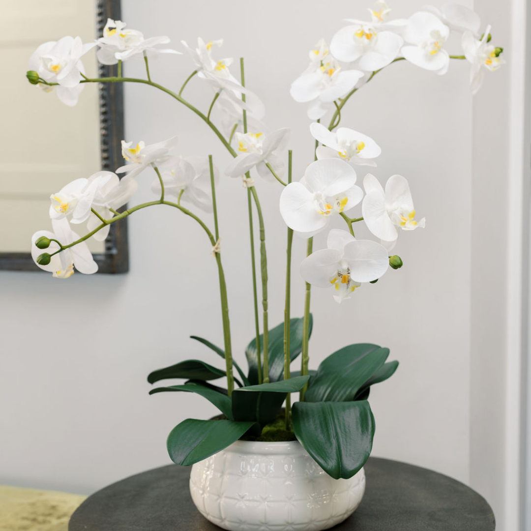 Orchidea Phalaenopsis artificiale bianca a 4 rami
