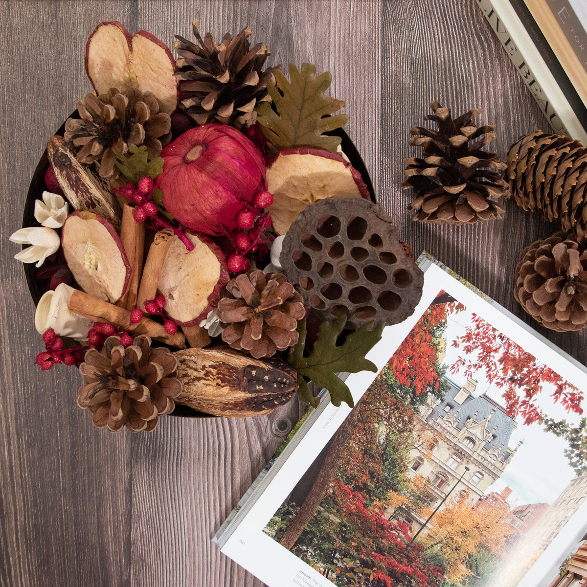 Pot-pourri à la cannelle et au cidre de pomme