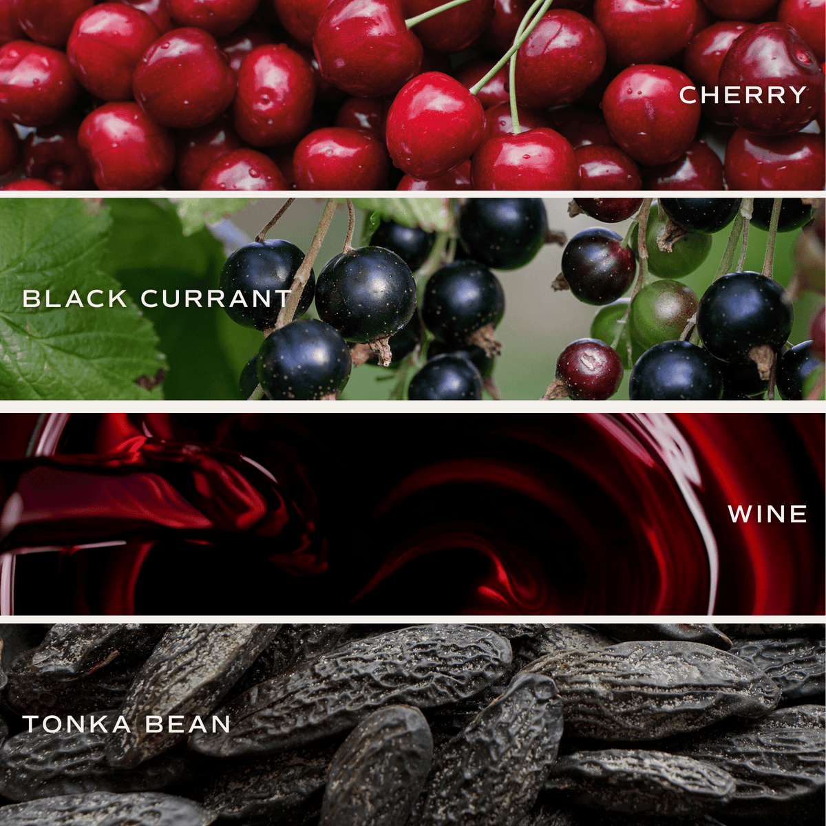 Candela di soia Blackwood Cherry - Vaso rosso opaco - 15 oz