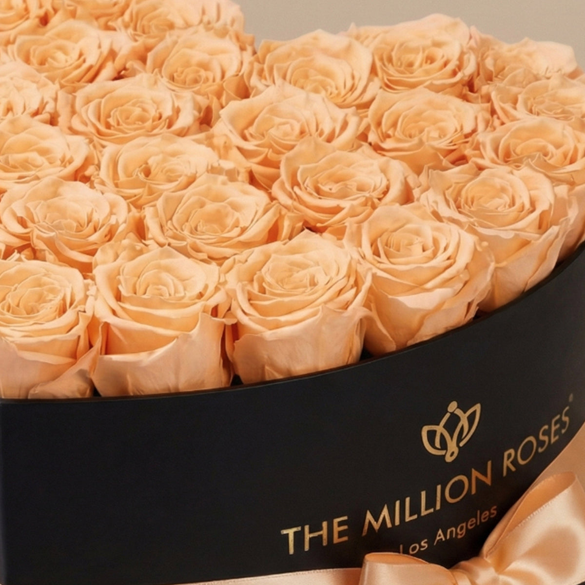 Boîte noire cœur | Roses pêches