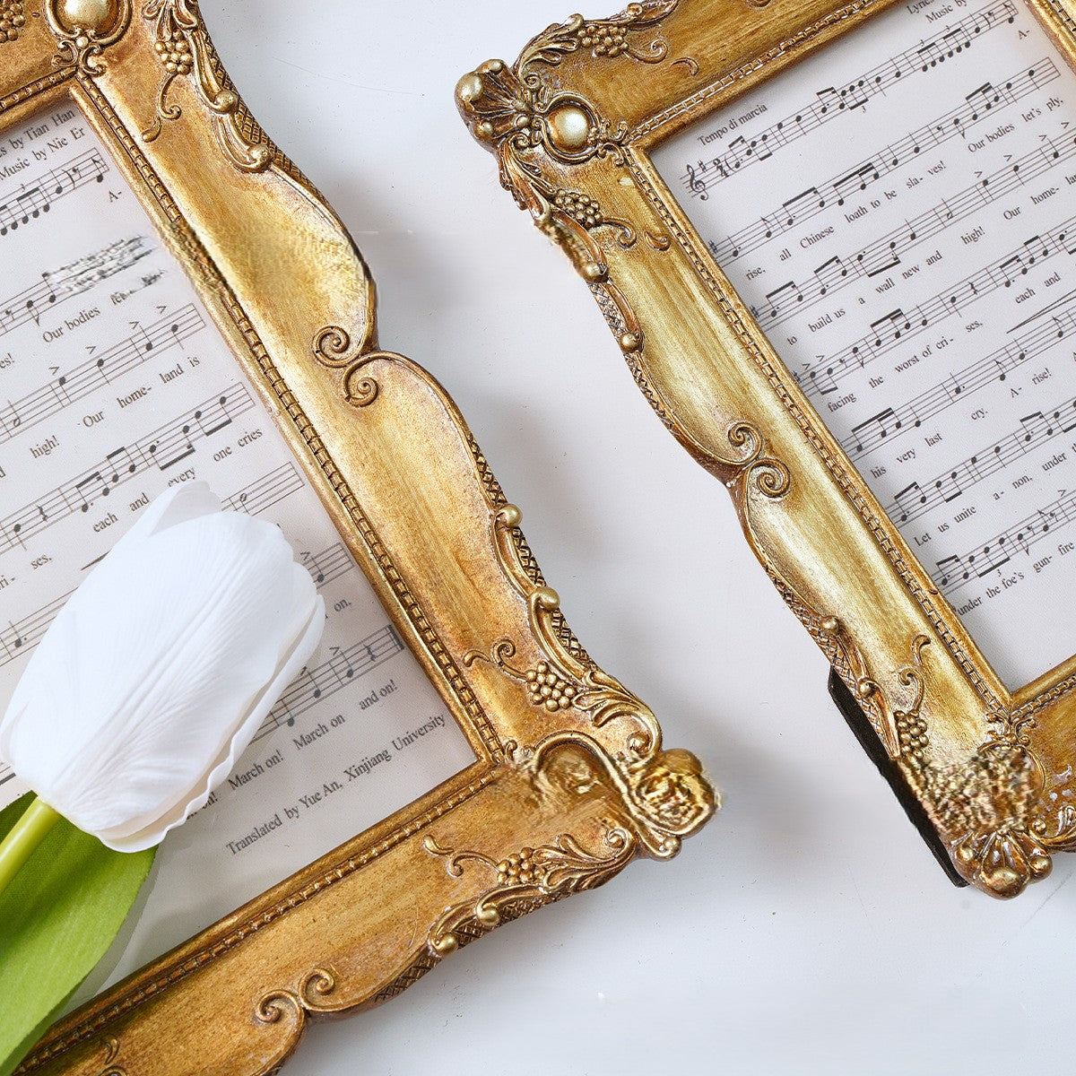 Ornate Baroque Picture Frame