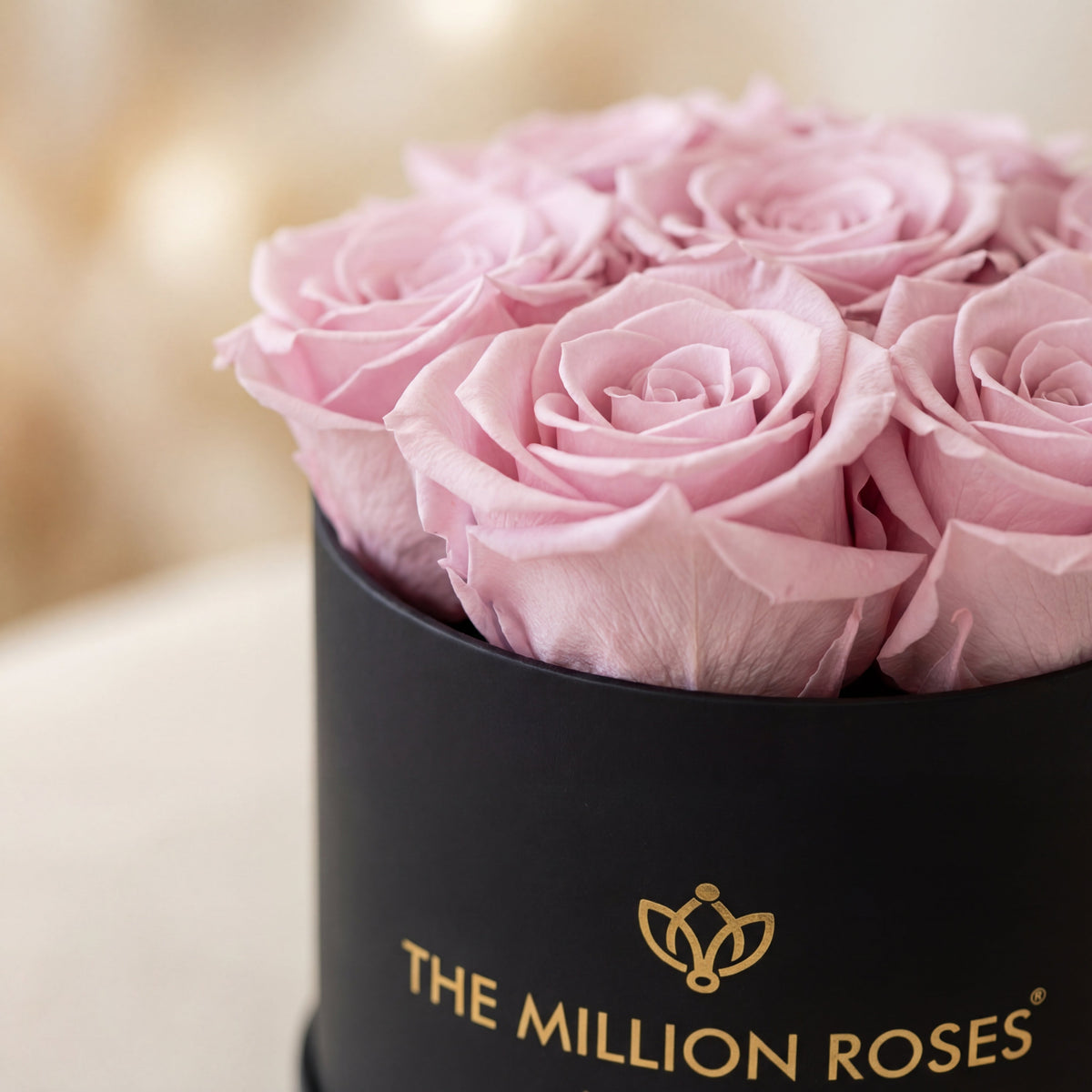 Boîte noire Essence | Roses rose clair