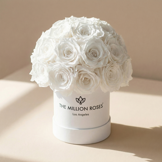 Essence White Superdome Box | Rose bianche