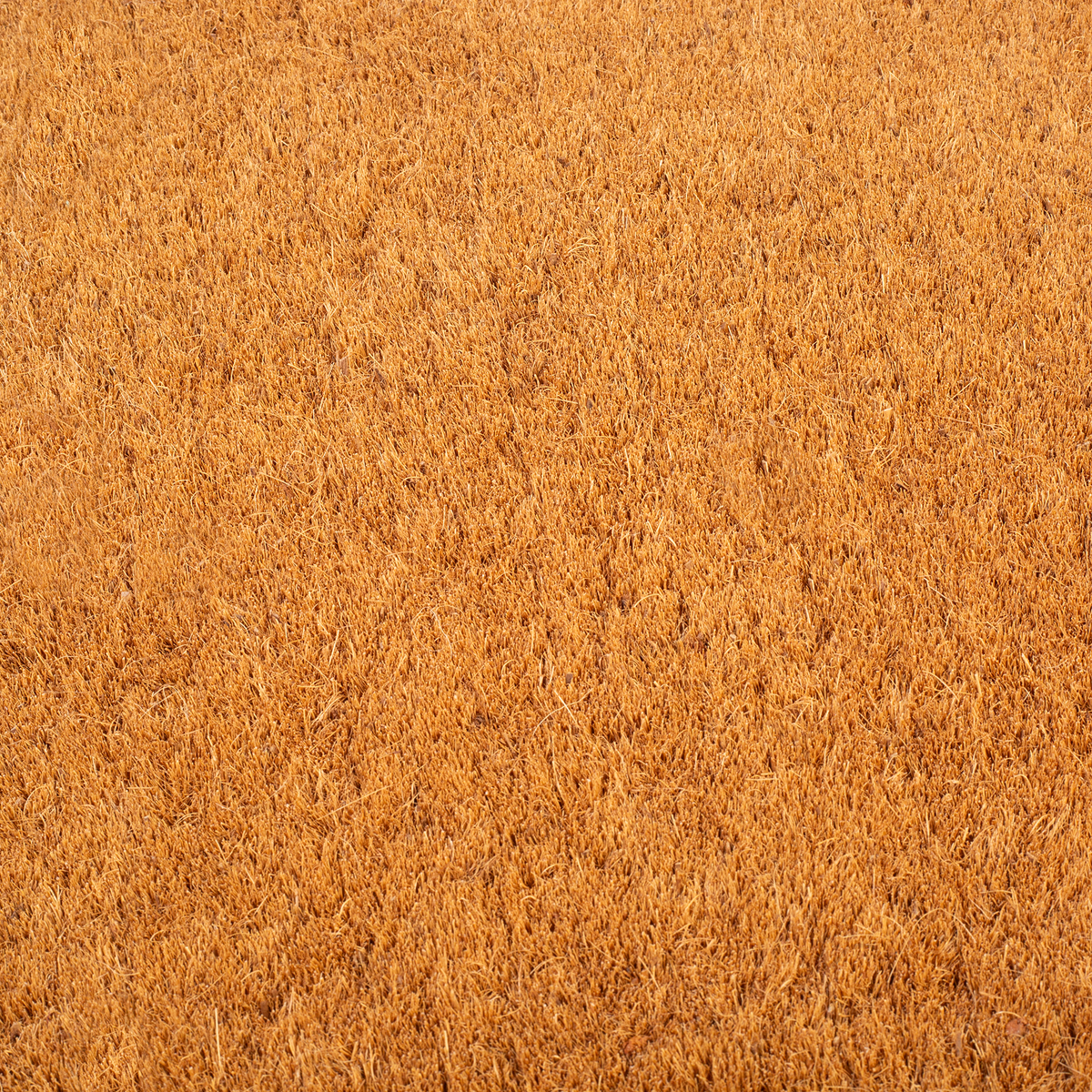Paillasson en fibre de coco à bordure noire