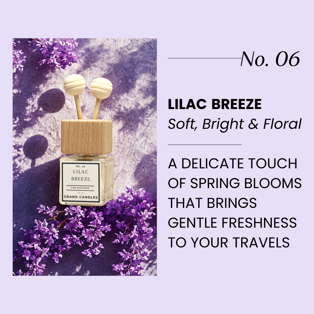 Diffuseur de voiture Brise de lilas