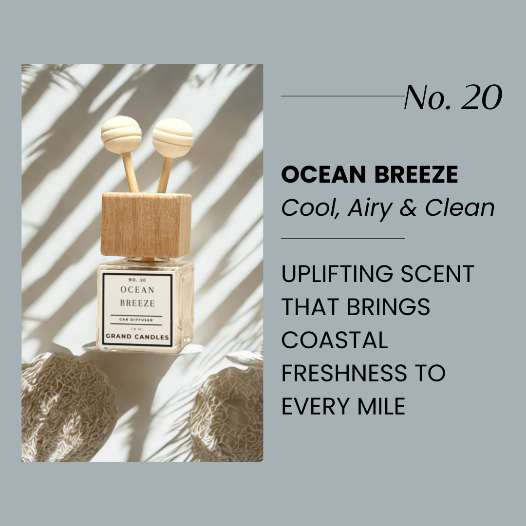 Diffusore per auto Ocean Breeze
